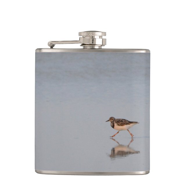 Flasques Sandpiper Bird Beach Nature Faune Photographie (Devant)