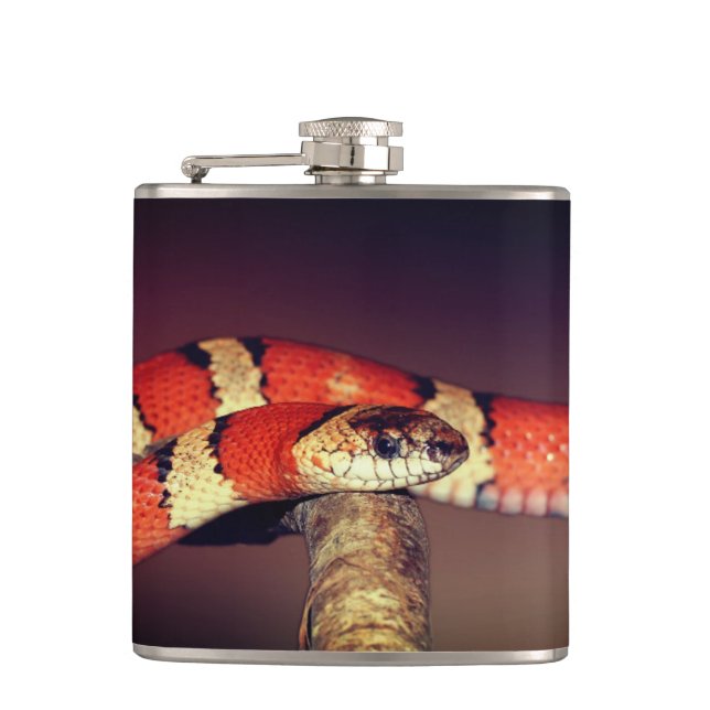Flasques Serpent (Devant)