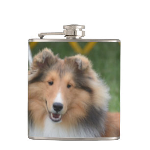 Flasques Sheltie mignon