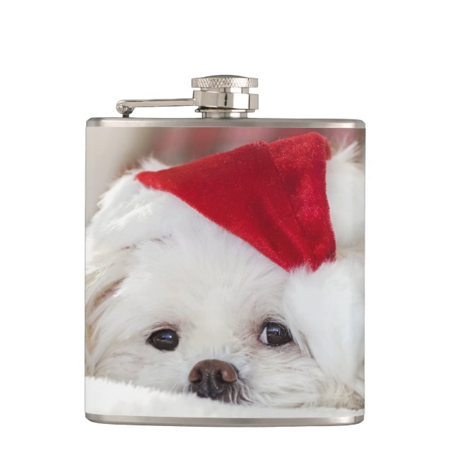 Flasques Un mignon chien blanc dans un Casquette de Noël ro (Devant)