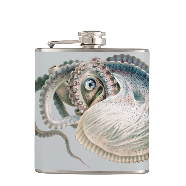 Flasques Vintage Octopus Argonaut, Marine Life Animaux (Devant)