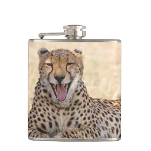 Flasques Yawning Cheetah