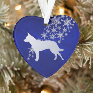 Fléau de neige bleu Silver Australian Cattle Dog
