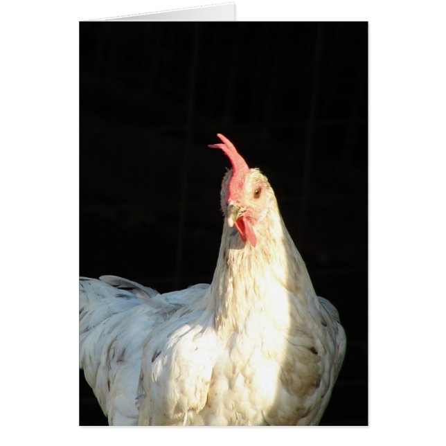 Flèche bleue Hen (Devant)