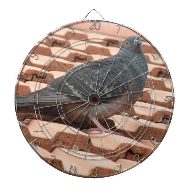 Fléchettes Cible de flechettes de pigeon sur le toit (Devant)