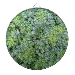 Fléchettes Cible de flechettes Macro Broccoli