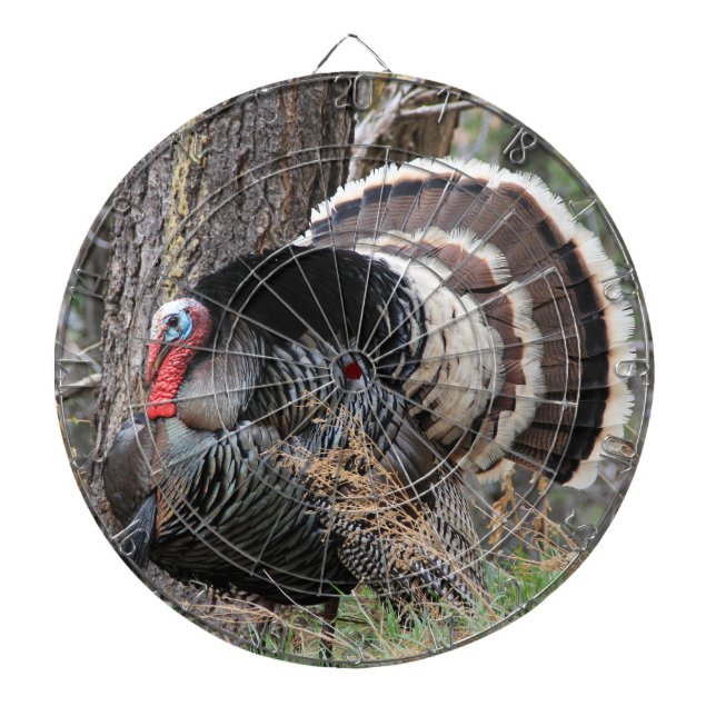 Fléchettes TOUCHER LA Cible de flechettes TURQUIE (Devant)