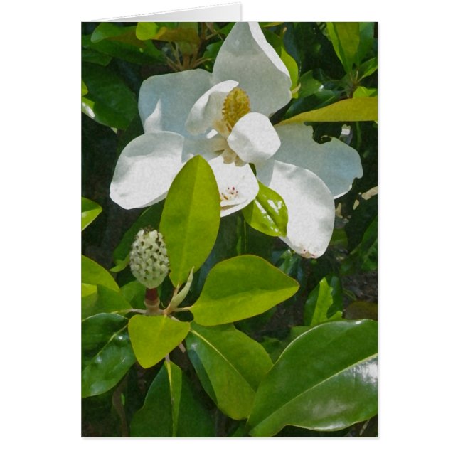 Fleur à porter des fruits (Devant)