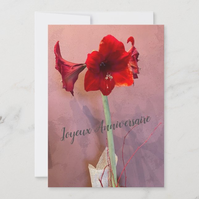 Fleur Amaryllis (Devant)