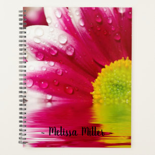 Fleur avec Dew