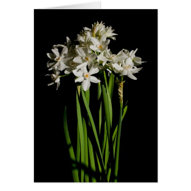 Fleur Blanche Printemps Événement Et Carte Mariage (Devant)