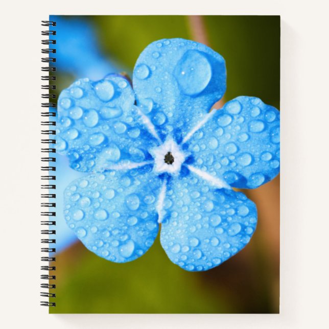 Fleur bleue Dewey Carnet spiral (Devant)