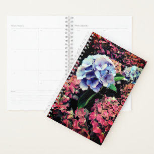 Fleur bleue et rose