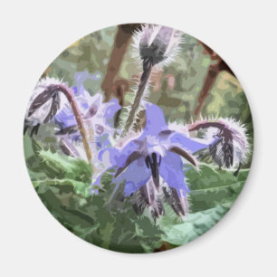 Fleur Blue Borage Star sur un aimant de cuisine