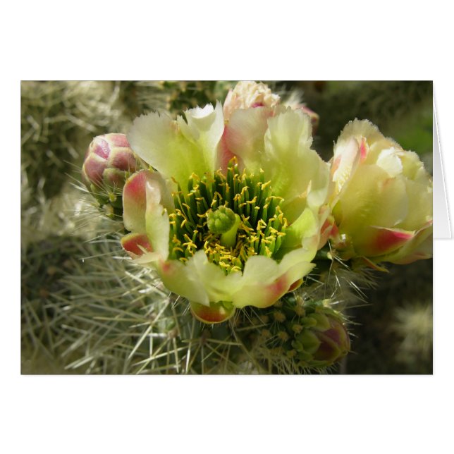 Fleur Cactus (Devant horizontal)
