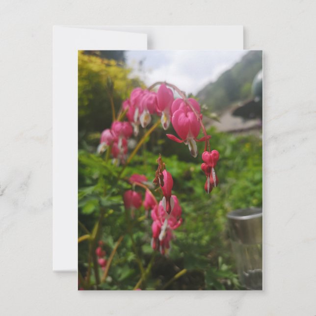 fleur cardiaque saignante (Devant)