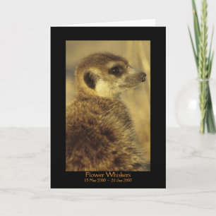 Fleur - carte de légendes