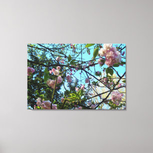 Fleur Cherche, Nature, Arbre, Fleur, Toile