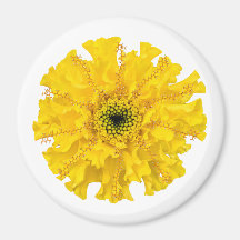 Fleur Chimie Magnet Marigold