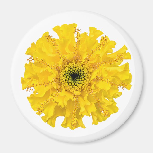 Fleur Chimie Magnet Marigold (Devant)