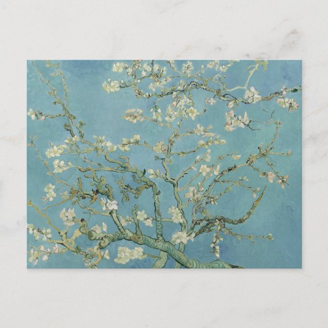 Fleur d'amandier, Vincent Van Gogh, Cartes postale (Devant)