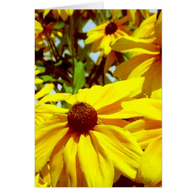 Fleur d'amour_ (Devant)