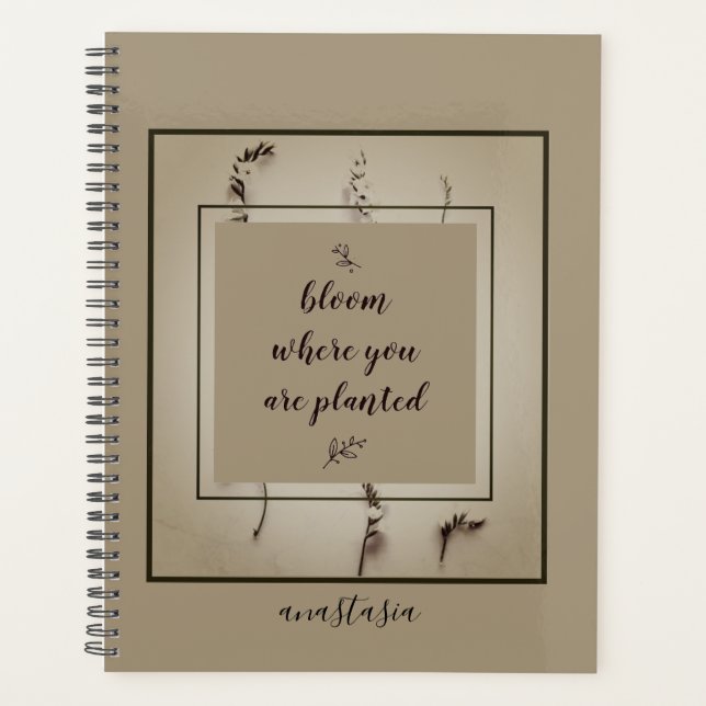 Fleur d'Anastasia verte tendance où planté (Devant)