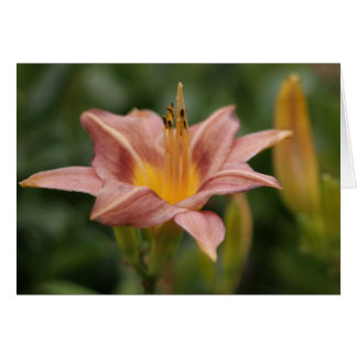 Fleur dans la carte personnalisable de fleur