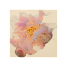 Fleur d'aquarelle de pivoine rose Art mural en boi