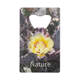 Fleur de cactus jaune au printemps