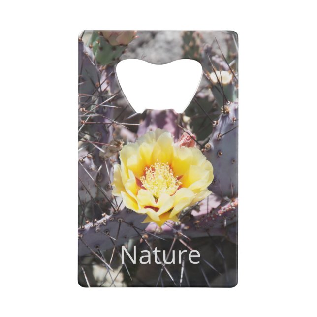 Fleur de cactus jaune au printemps (Devant)