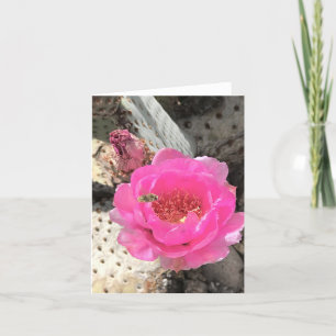 Fleur de cactus rose avec carte de note d'abeille