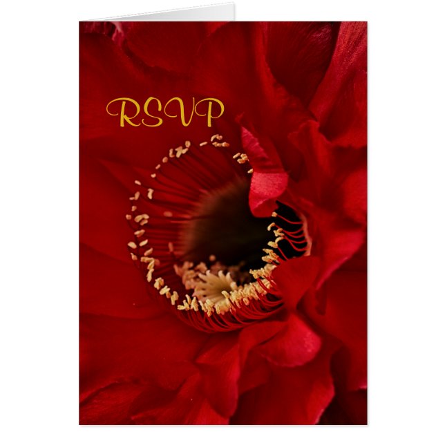 Fleur de cactus rouge en fleurs RSVP (Devant)