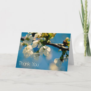 Fleur de cerisier ・ Carte de remerciements
