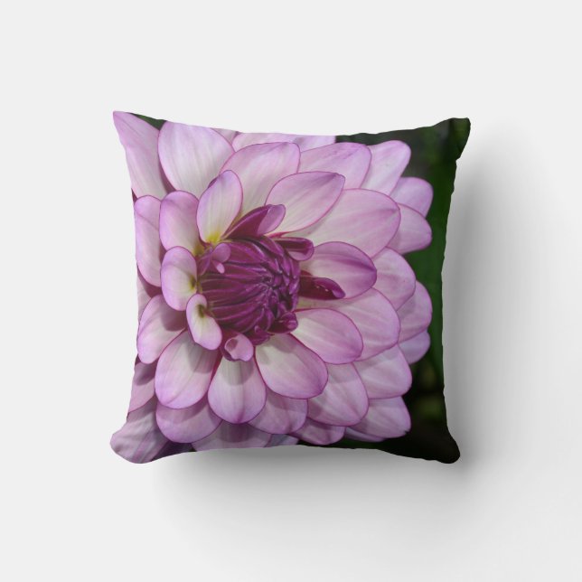 Fleur de dahlia violet fleurs jettent oreiller (Recto)