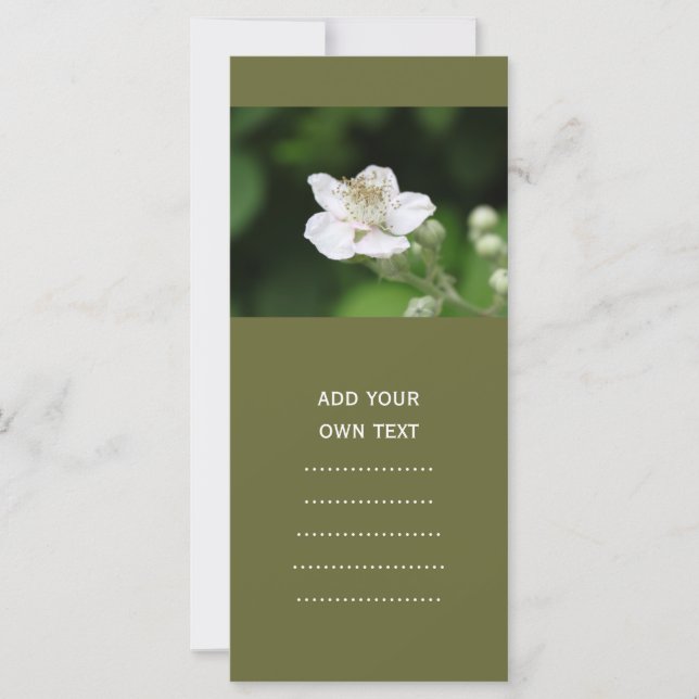 Fleur de framboise blanc sauvage. (Devant)