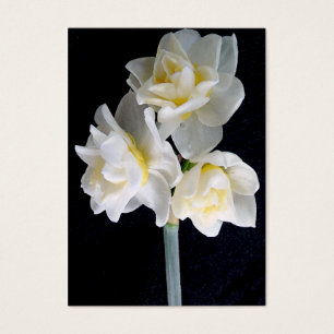Fleur de Jonquil - carte de région de 3:1