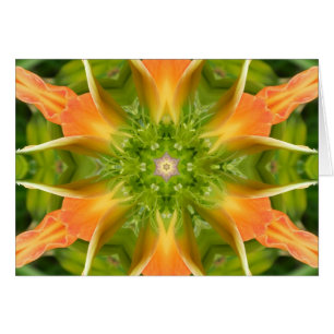 Fleur de la Paix Mandala