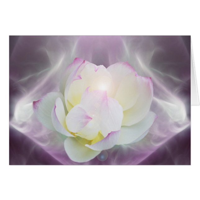 Fleur de lotte blanche (Devant horizontal)
