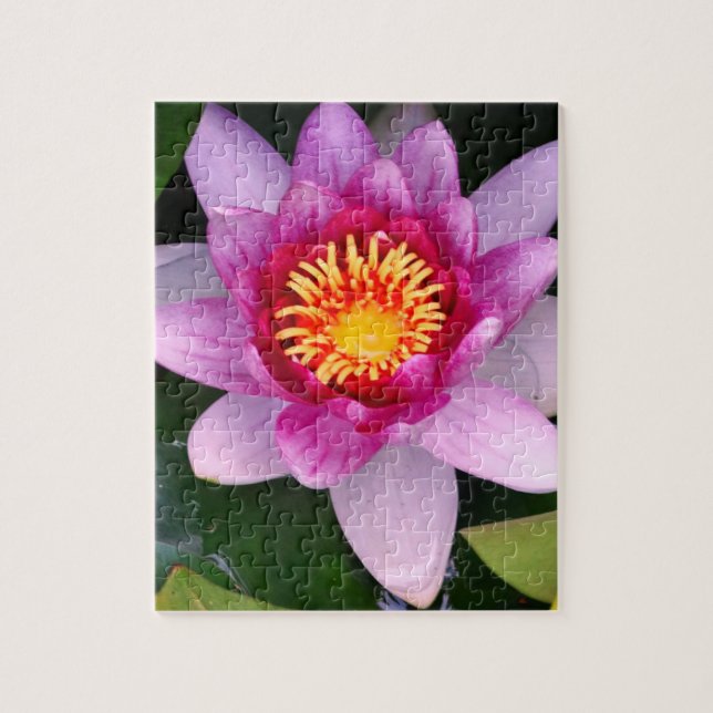 Fleur de Lotus Photo Puzzle (Vertical)