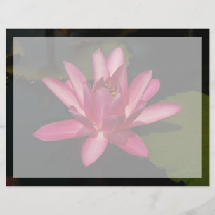 Fleur de lotus rose