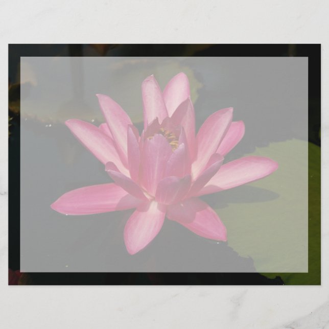 Fleur de lotus rose (Devant)