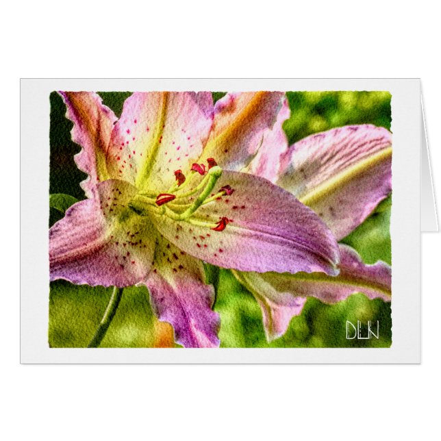 Fleur de lys Stargazer / Art aquarelle floral / (Devant Horizontal)