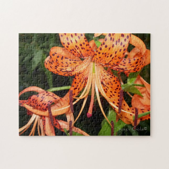 Fleur de lys tigré orange Puzzle (Horizontal)