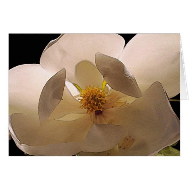 Fleur de Magnolia (Devant horizontal)
