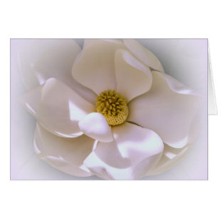 Fleur de Magnolia Tropicale Blanche en fleurs