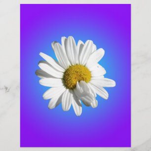 Fleur de marguerite blanche dégradé floral bleu vi