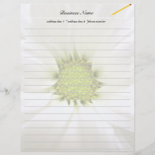 fleur de marguerite blanche pure