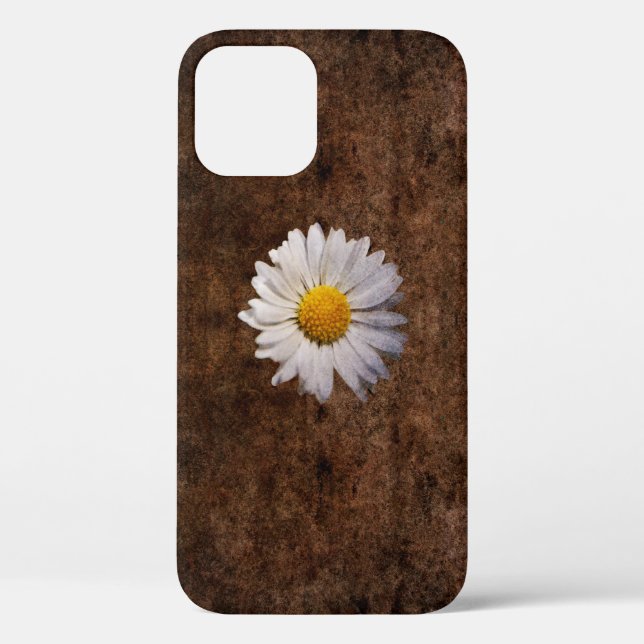 Fleur de marguerite sur un Coque arrière - plan br (Verso)
