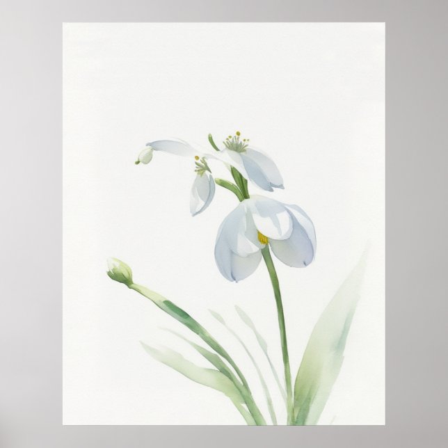 Fleur de naissance Janvier Snowdrop Poster (Devant)